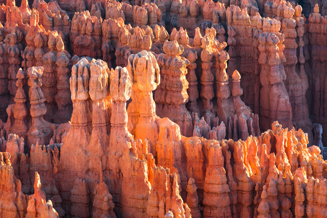 NP Bryce Canyon