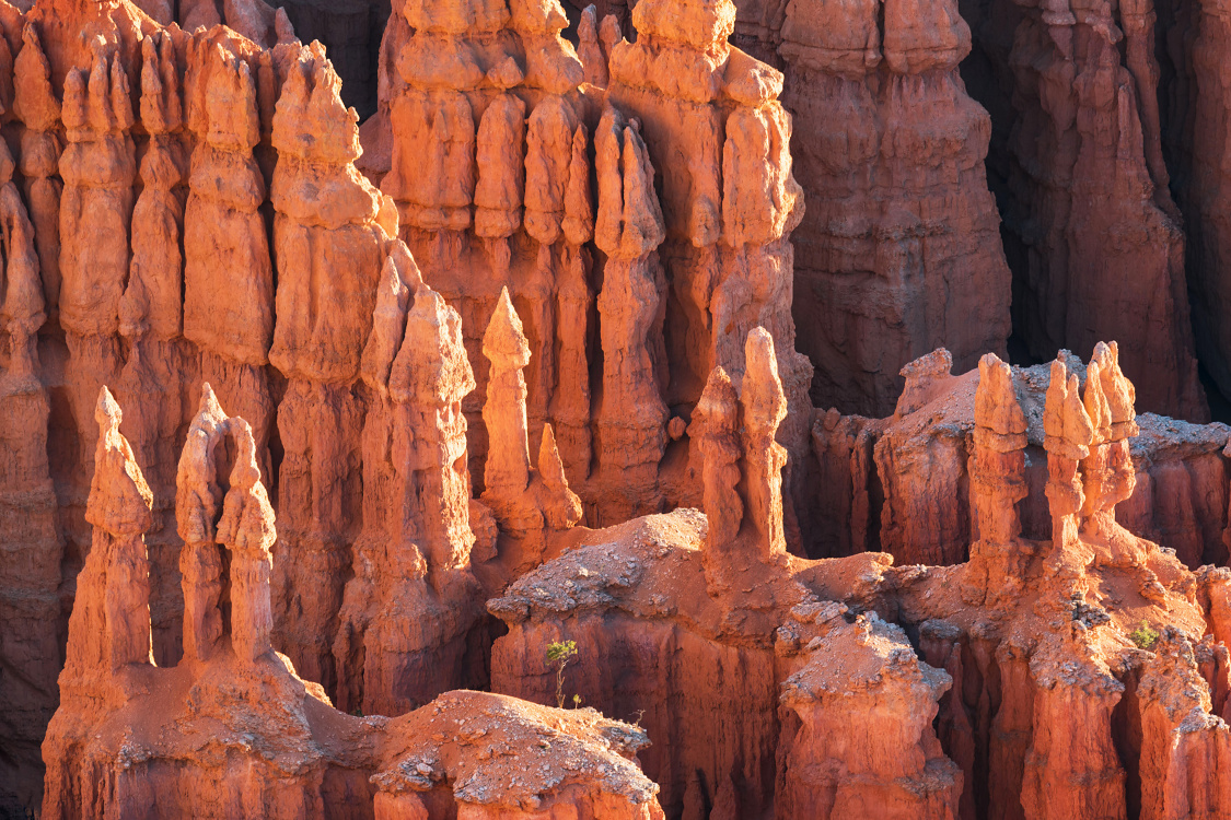 NP Bryce Canyon