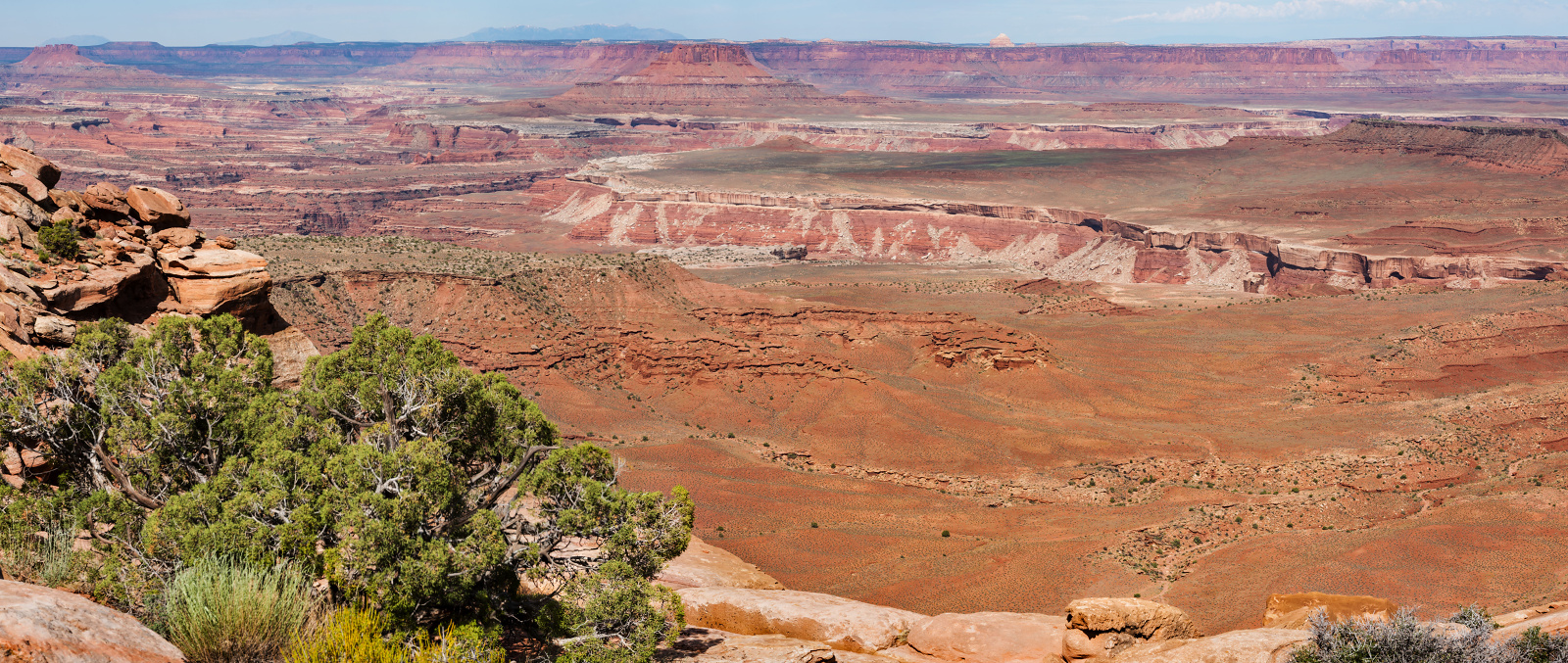 NP Canyonlands