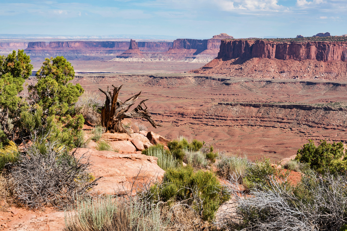 NP Canyonlands