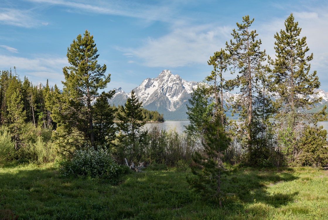 NP Grand Teton