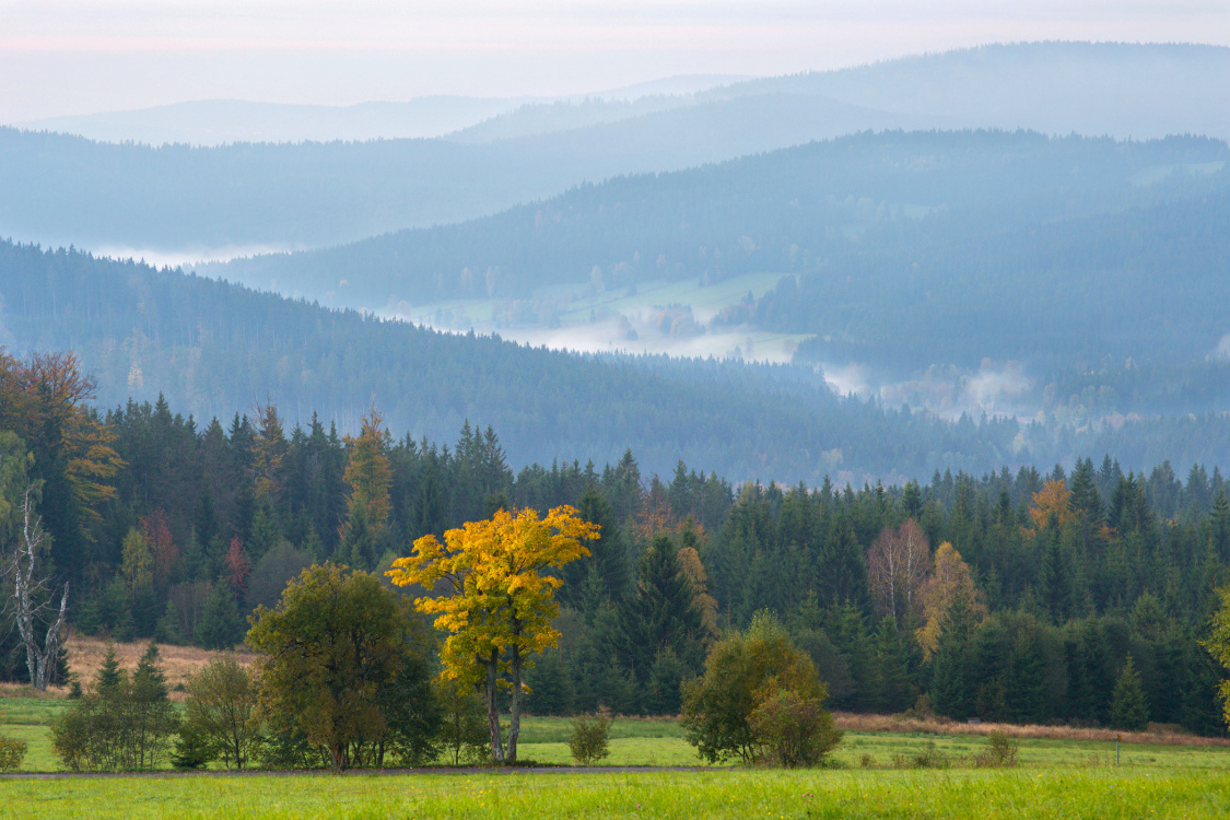 Šumava