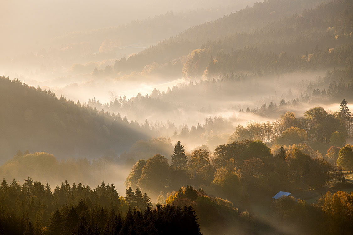 Šumava