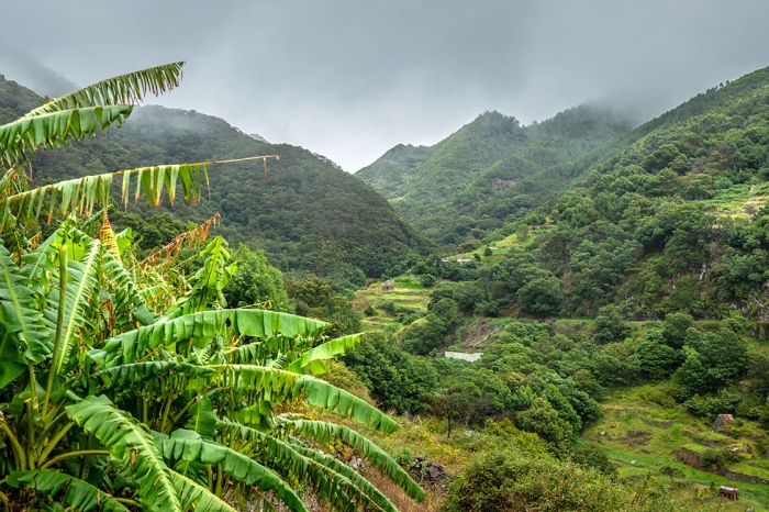 Madeira