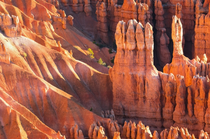 NP Bryce Canyon