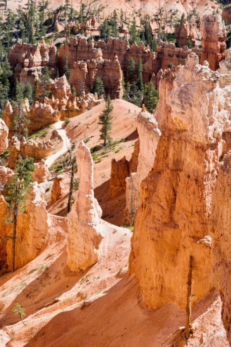 NP Bryce Canyon